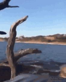 囧吐槽：社会我哈哥，狗怂话还多