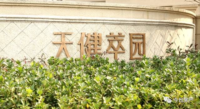 临港有新楼盘出售吗,500万买临港大户型