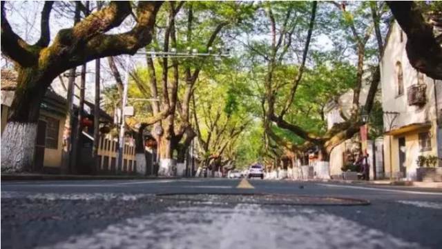 二百块钱玩南京一天,南京有哪些不要钱的游玩地方