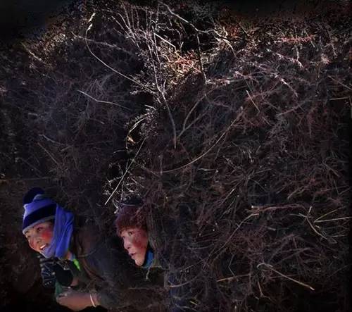 各种摄影题材大全,摄影哪种题材容易震撼人心