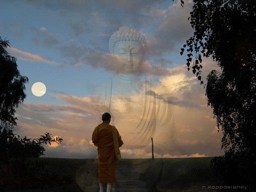 斯里兰卡古迹与风情,斯里兰卡文化