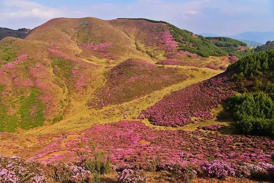 大家好，给大家介绍一下，这里是云南禄劝