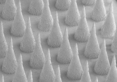 绝了绝了！华人科学家发明将「游泳圈」变为「八块腹肌」的「减肥神贴」，想瘦哪里贴哪里｜奇点猛科技