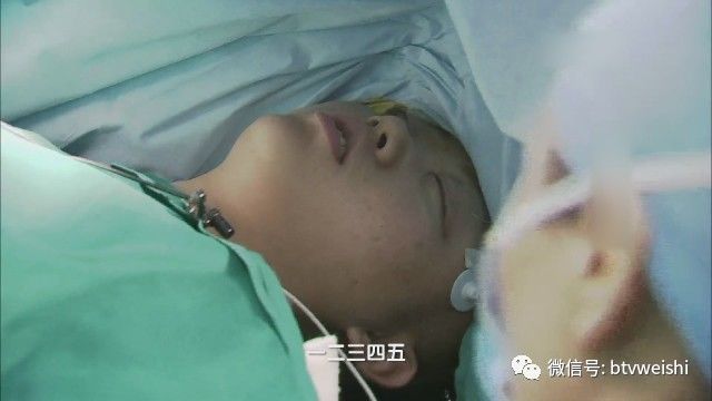 养生堂揭秘大脑的神秘物质,养生堂最新视频