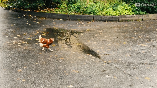 豆瓣日记:几乎所有人都说我是疯了才会坐火车去俄罗斯