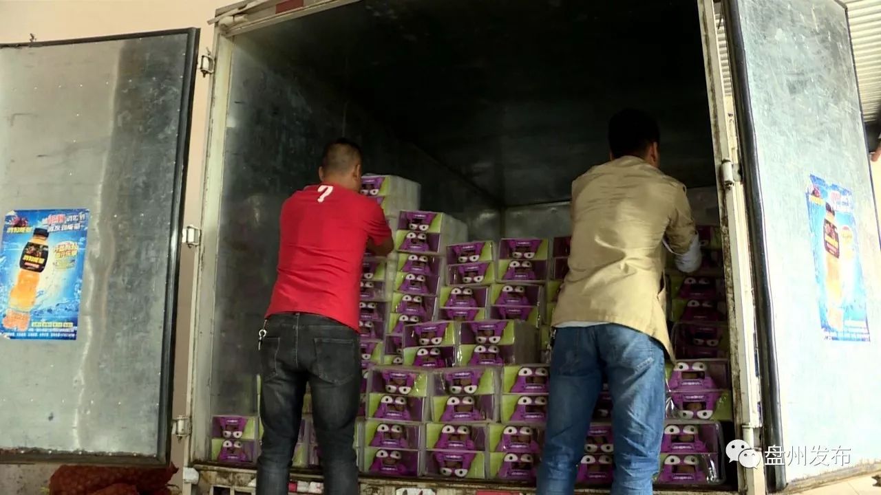 盘州四格的乌洋芋多少钱一斤 (盘州老品种黄心洋芋批发)