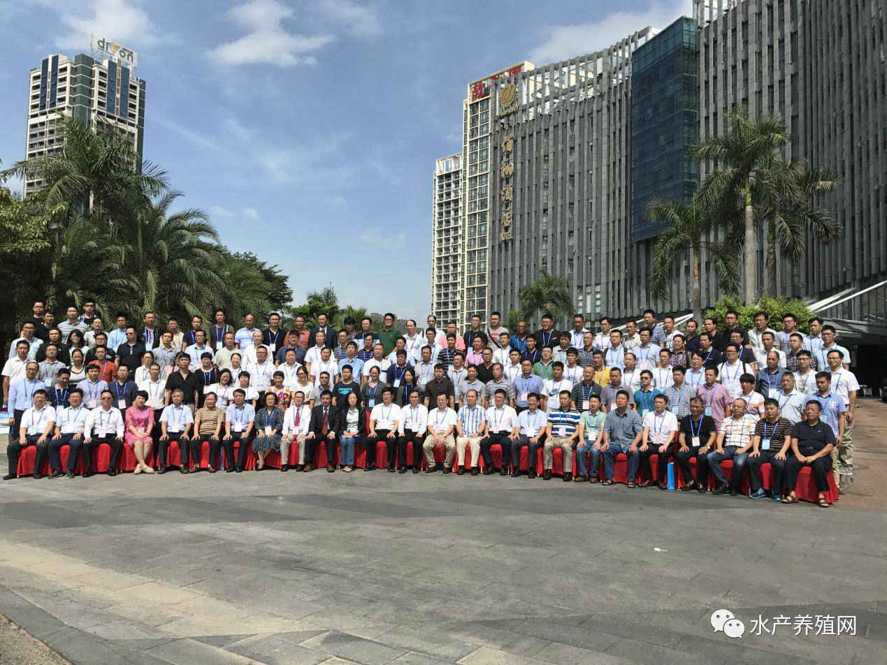 一半以上鳗鱼靠出口，被誉为“水产领域研究最后的一个大金矿”，繁华背后却有隐患