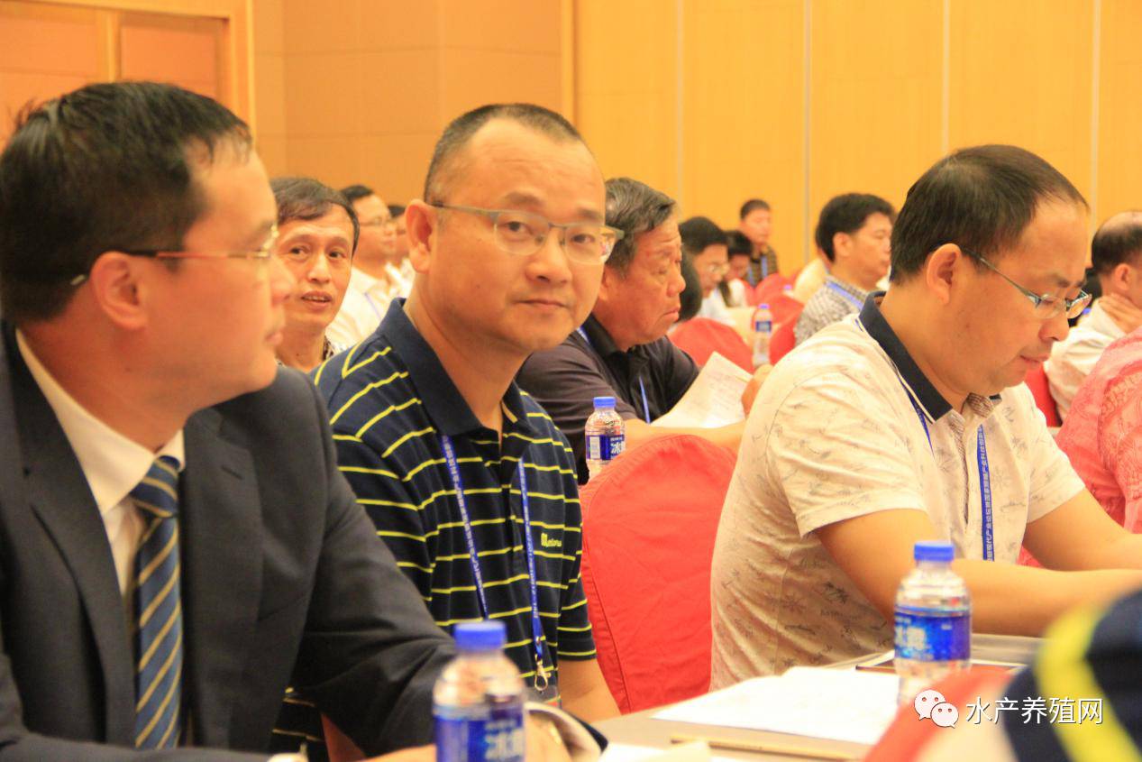 一半以上鳗鱼靠出口，被誉为“水产领域研究最后的一个大金矿”，繁华背后却有隐患