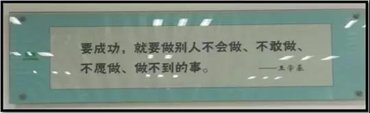海利尔公司简介,海利尔的发展趋势