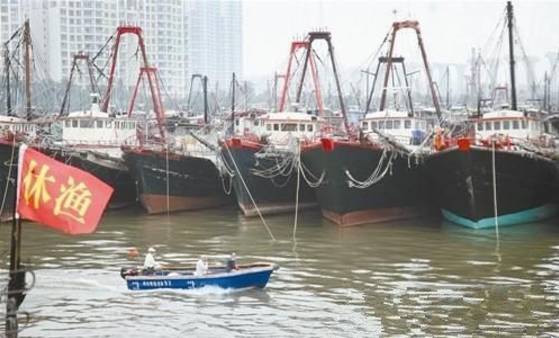 为什么大连海鲜贵,大连海鲜和南方海鲜哪个好