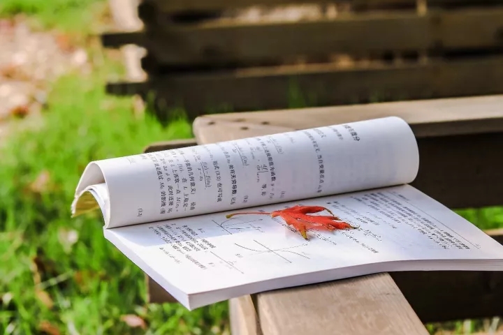 又是一年辅修季，嘘，天财学子已沉迷学习，请勿打搅