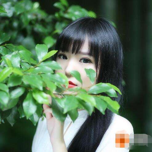 仙剑奇侠传安卓单机游戏,仙剑奇侠传安卓版