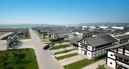 我们这五年,我们这五年散文