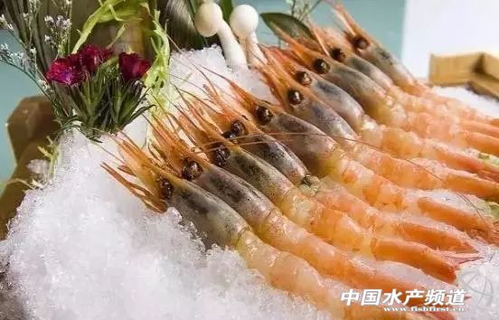 虾类有几千种，你又认识几种？