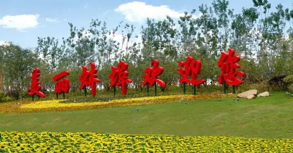 火了！蚌埠最新版使用说明书，竟然有这么多人不知道！