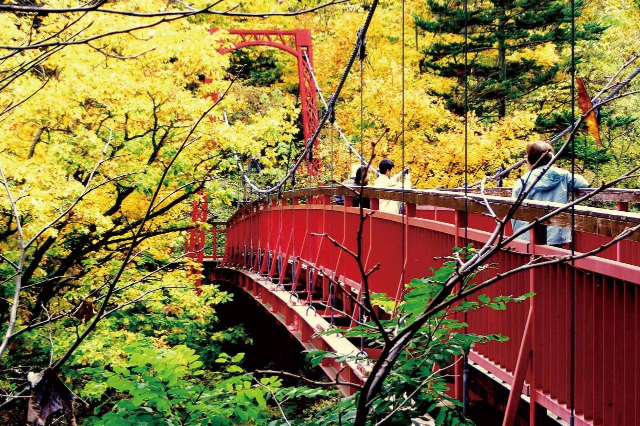 最高级的红色是什么,最高级最不过时的红色是哪一种