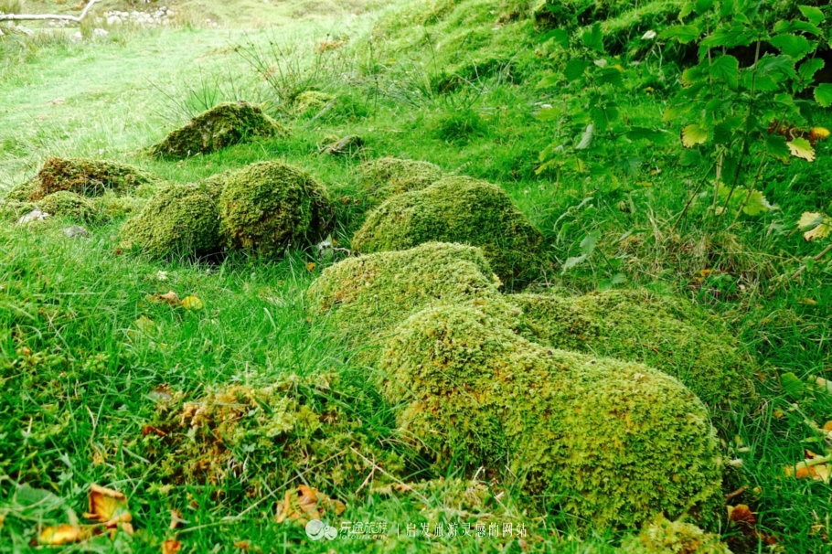 天空岛的秘密任务,天空岛苏格兰高地的极致风光