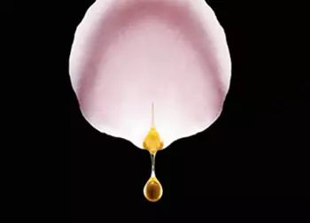 火爆全网的小安瓶,最近挺火的小安瓶