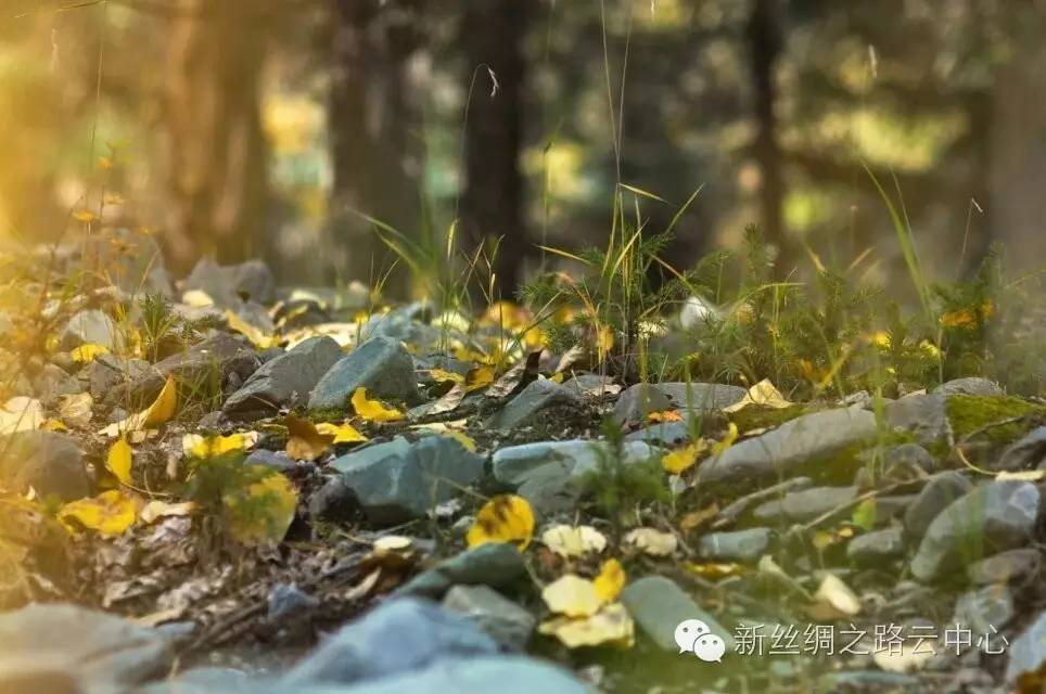 张掖甘州八景,张掖甘州有哪些古城