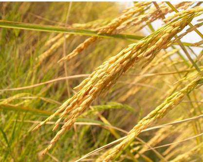 聚焦目标砥砺前行,聚焦责任意识增强责任担当