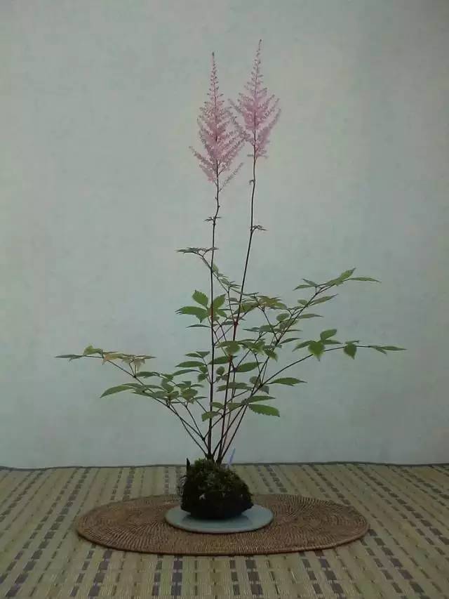 一花一世界一草一天堂一叶一菩提,一花一世界一草一天堂歌曲