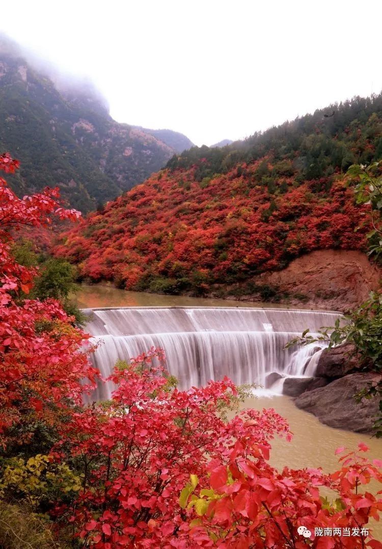 回顾2023年太极拳公开赛,第二届太极拳邀请赛