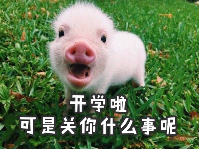 小时候最悲伤的事,小时候最惨的一件事