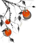 资讯丨良春国医堂到访宝中堂，共享经验，同谋发展