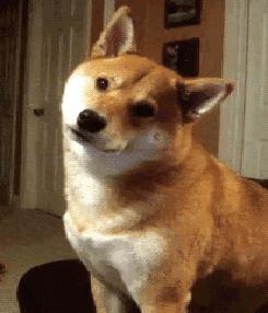 微信又双叒叕更新了3项功能这类人不能用,微信又更新了8.0.4