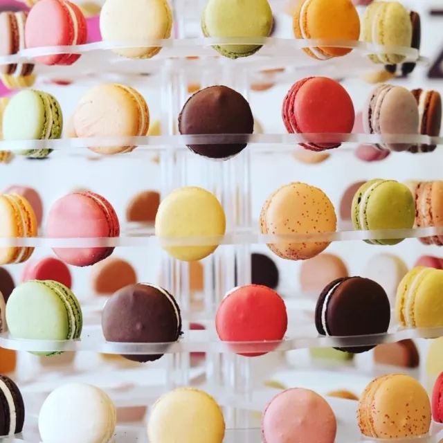 琛岃蛋鑹烘湳涔嬪煄钂欑壒鍒╁皵,钂欑壒鍒╁皵鍙ゅ煄