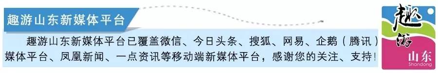 舜耕山庄级别,舜耕山庄是几星级