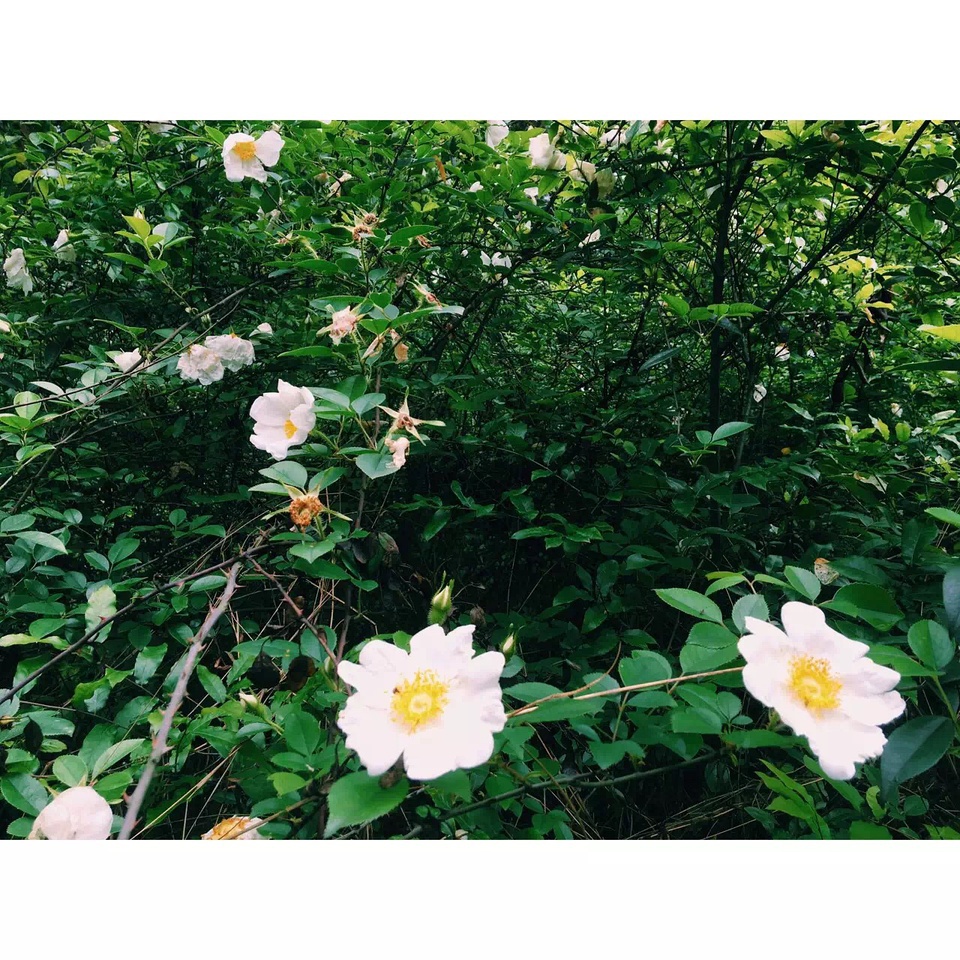 我的地质工作日记,豆瓣日记怎么编辑