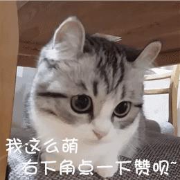 冷空气双十一发货,您的双11冷空气已发货