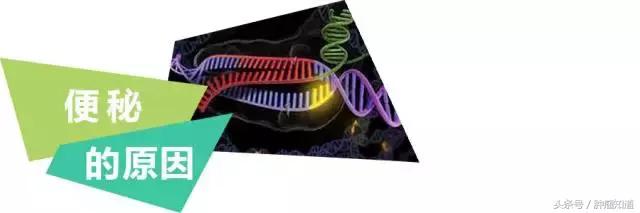 胰腺恶性肿瘤患者便秘如何处理,直肠肿瘤手术后便秘怎么解决