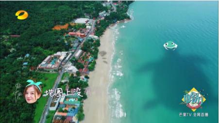 赵薇是个见过大世面的人吗,赵薇是一个很有头脑的女人