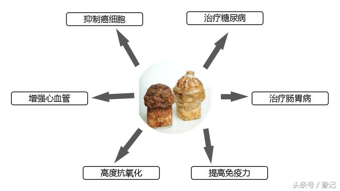 这个奇葩，从土豪变笑柄，最后成为了科学家