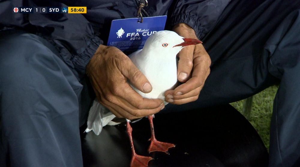 日本高中足球联赛感人视频,足球10大感人瞬间