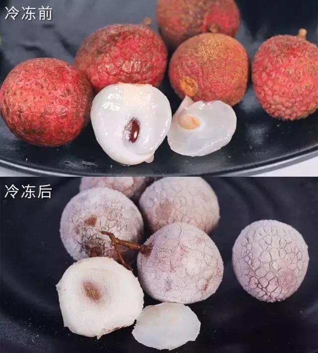 我把整个超市扔进了冷冻室，没想到还挺好吃