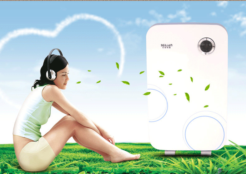 国内空净市场腰包如此好掏?国产欲驱逐外资须先变身良币