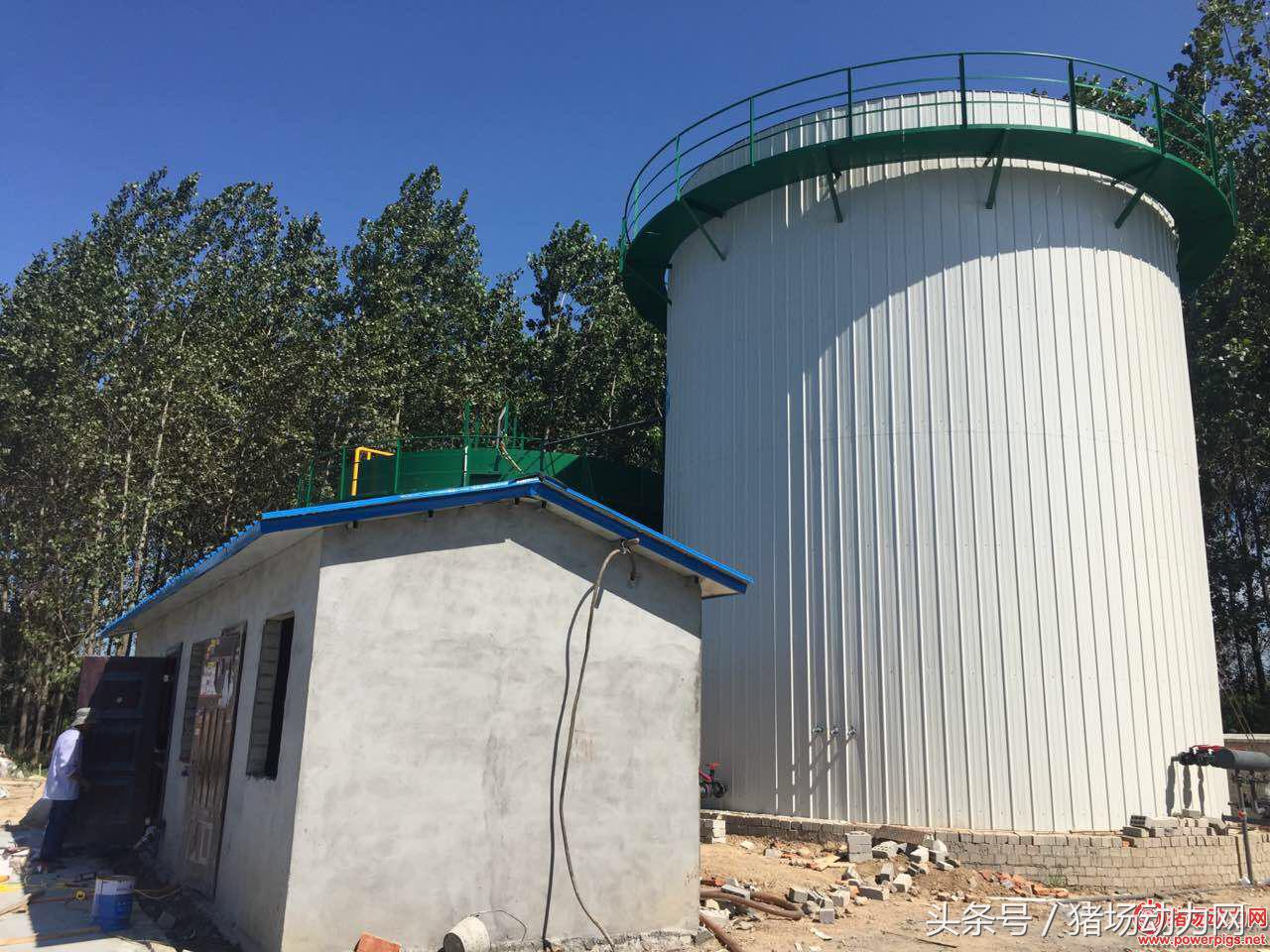 养猪环保不达标,关于南方北方农村养猪环保问题