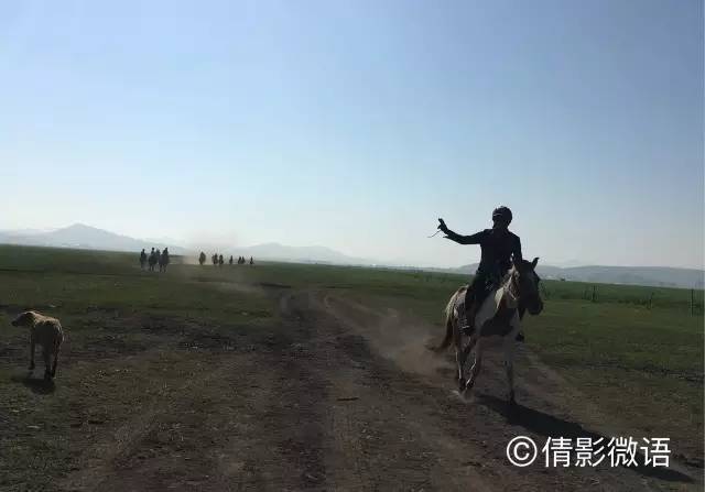 倩影留痕｜承德·丰宁坝上草原游记