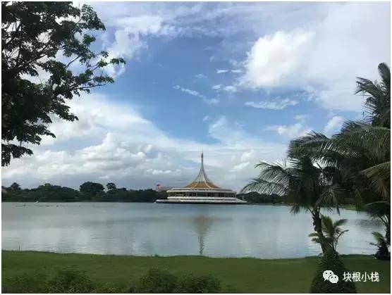 2019上海多肉展仙人球,2023泰国多肉展会直播