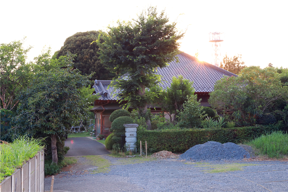 日本成田机场到市区最早几点,成田机场到东新宿