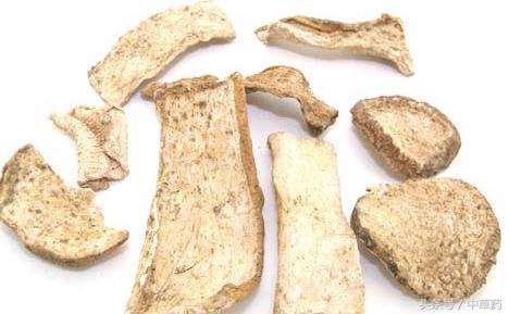 药性歌括四百味清热药,清热燥湿祛风杀虫止痒中药处方