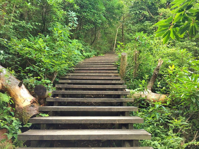 一场说走就走的夏日旅游,一场说走就走的山水旅游