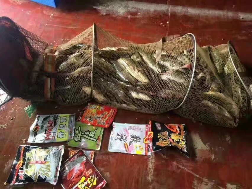 金龙经典饵料,媲美商品饵的鱼饵