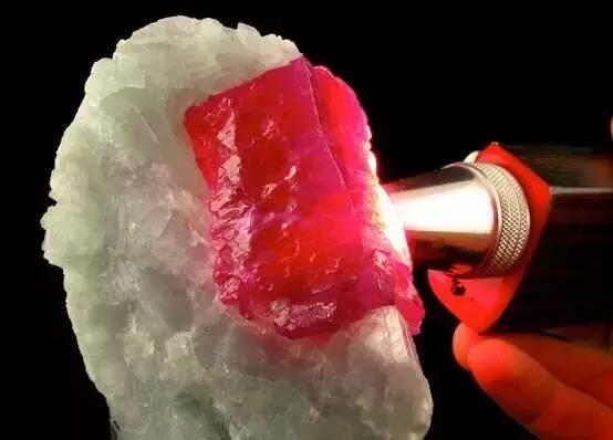 七月末，霸气的狮子就交给热情的红宝石来守护吧！