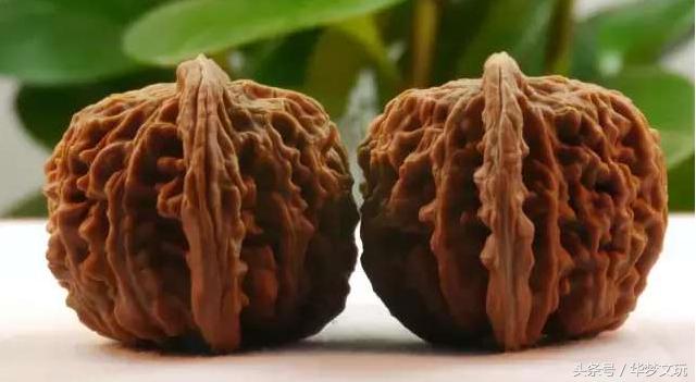 文玩核桃的产地具体有哪些,文玩核桃产地一览表