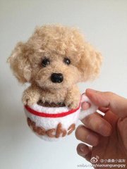 什么宠物最可爱又好养,你见过什么小宠物