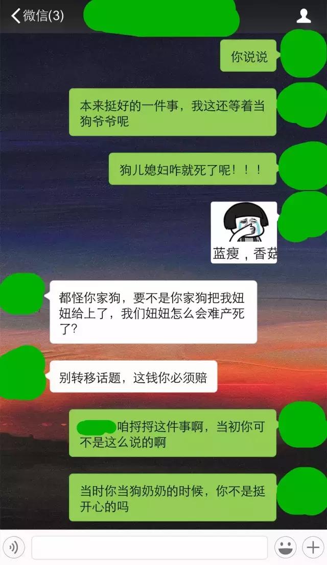 还狗清白!隔壁家母狗肚子里的不是我家的!